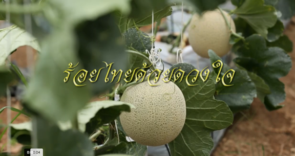 สารคดีร้อยไทยด้วยดวงใจ 2560 ตอน พระมหากรุณาธิคุณของในหลวงรัชกาลที่ ๙