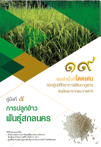 การปลูกข้าวพันธุ์สกลนคร