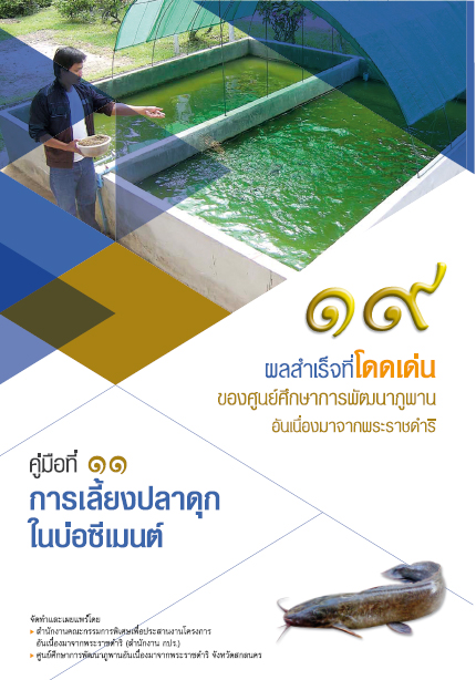 การเลี้ยงปลาดุกในบ่อซีเมนต์