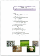 บัญชีหลักทางวิชาการของศูนย์ศึกษาการพัฒนาพิกุลทองฯ