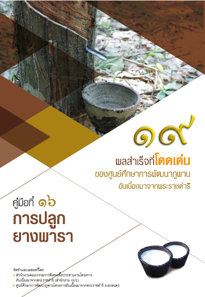 การปลูกยางพารา