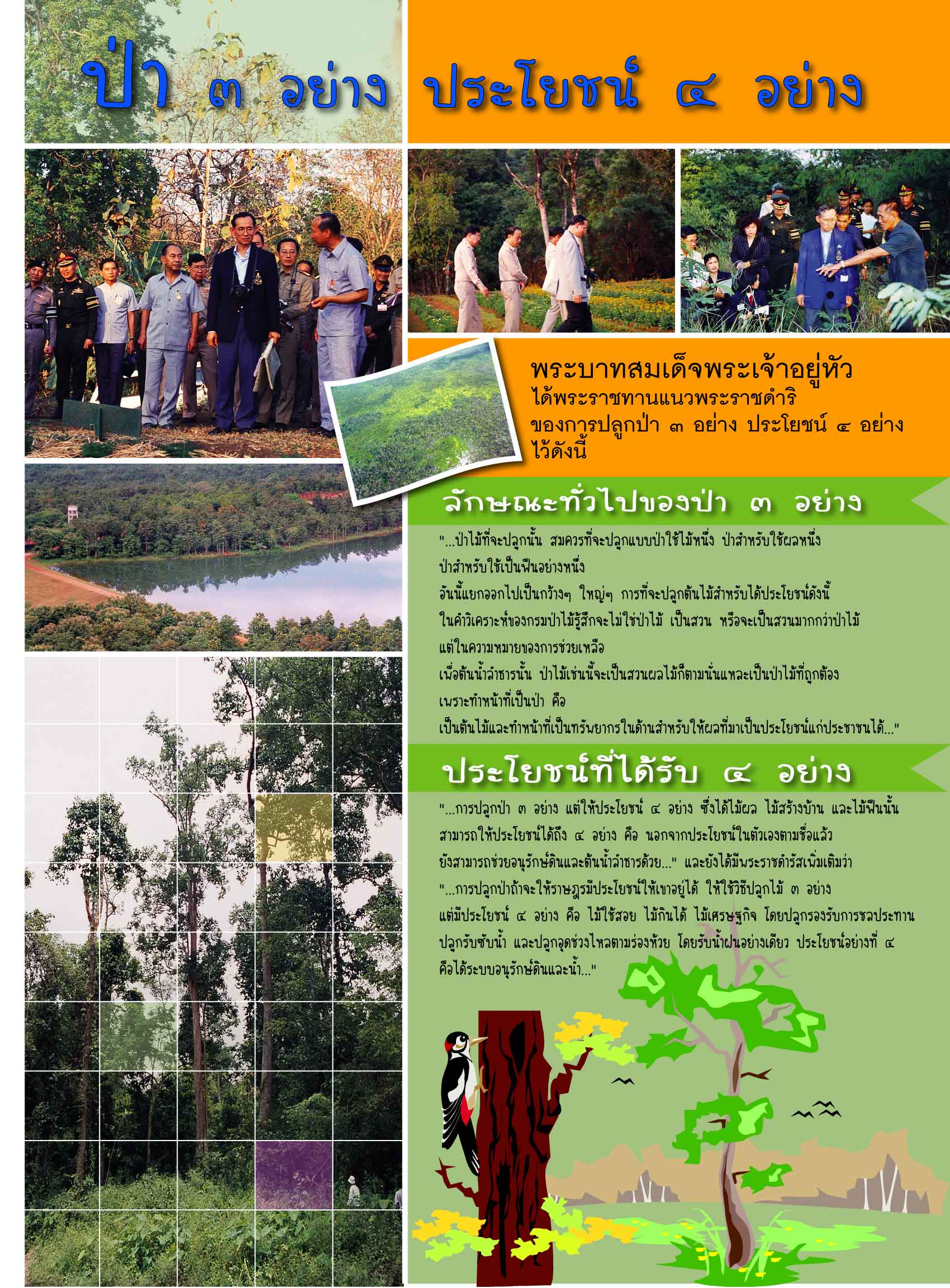 Three Forests for Four Benefits