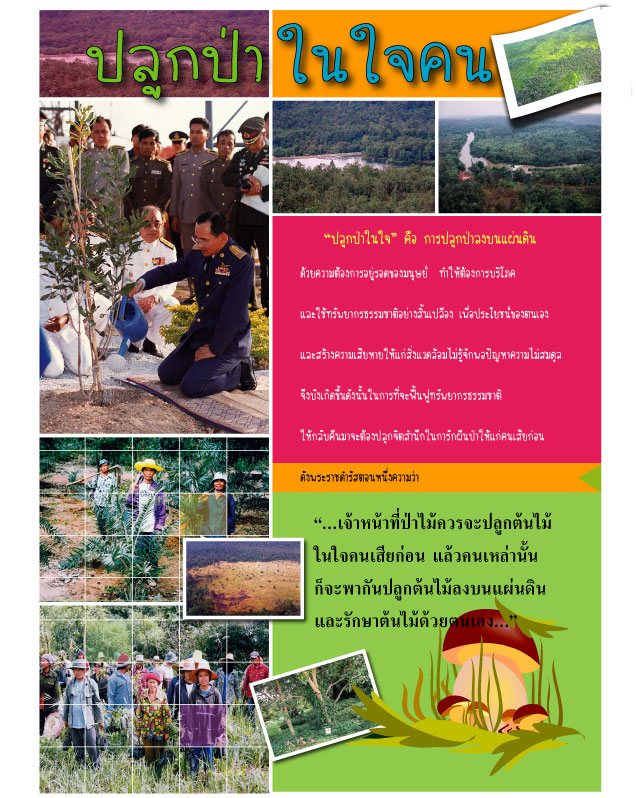 Growing Forest in the People’s heart