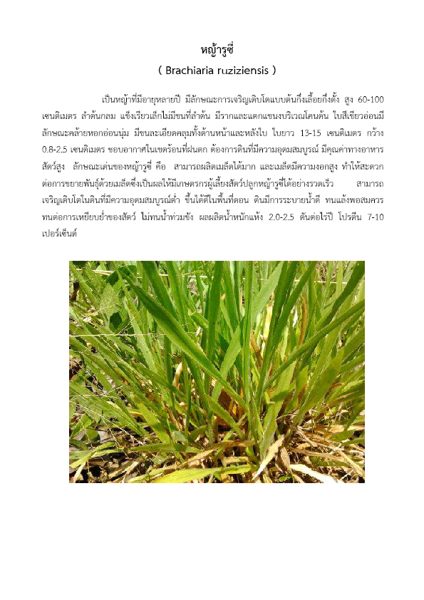 บัญชีหลักททางวิชาการของศูนย์ศึกษาการพัฒนาห้วยฮ่องไคร้